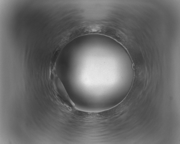 X0000070421442200606161425