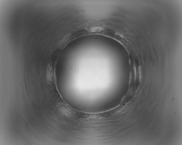 X0000070421443200606161425