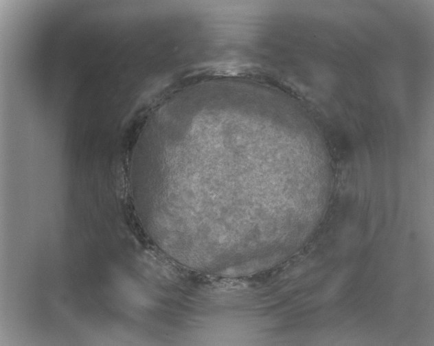 X0000070421446200606161425