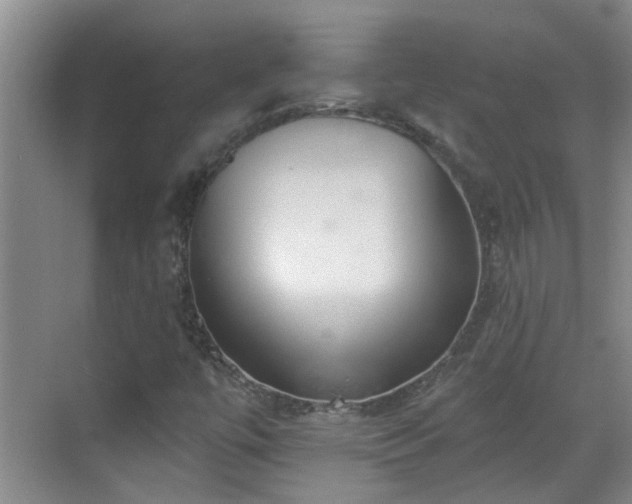X0000070421447200606161425