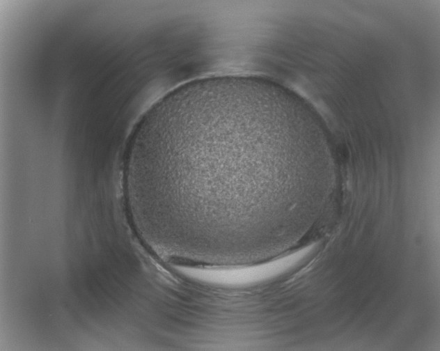 X0000070421459200606161425