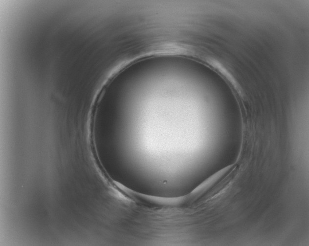 X0000070421477200606161425