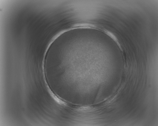 X0000070421482200606161425