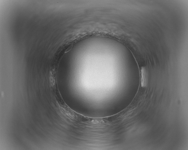 X0000070421491200606161424