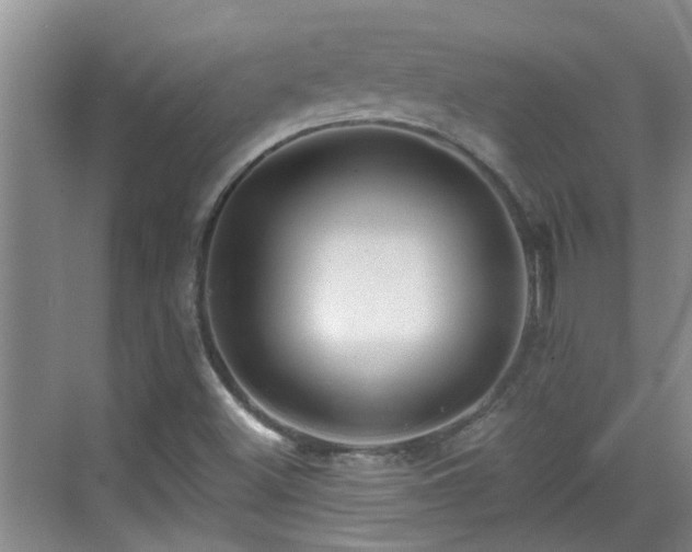 X0000070421500200606161424