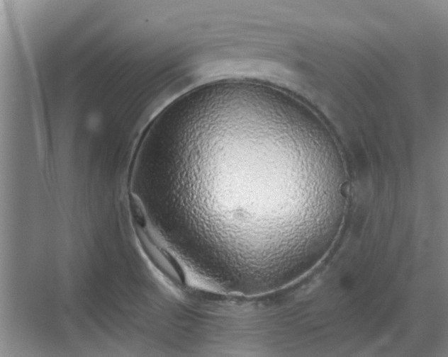 X0000070421521200606161424