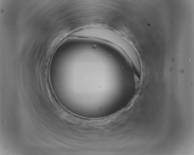 X0000070420001200606231904