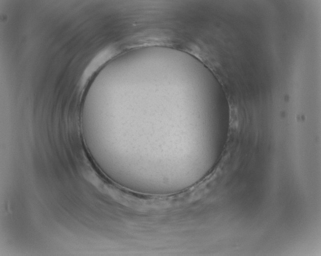 X0000070420004200606231904