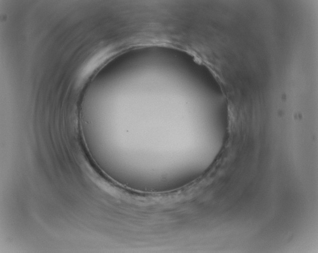 X0000070420005200606231904