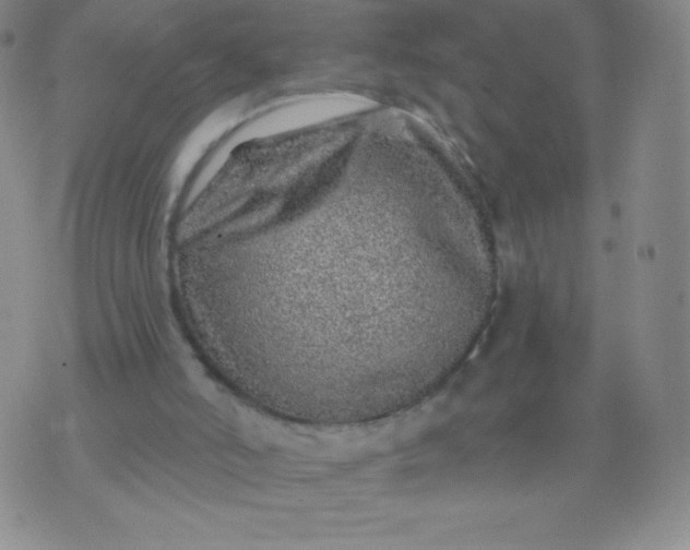 X0000070420006200606231904