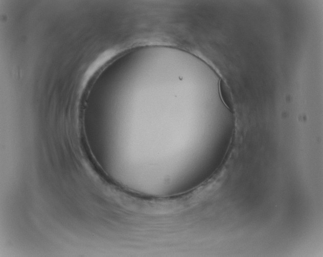 X0000070420008200606231904