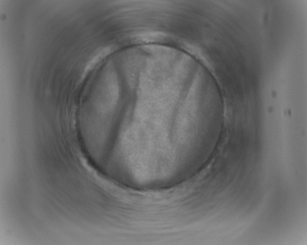 X0000070420010200606231904