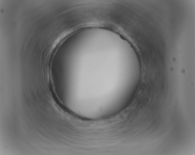 X0000070420011200606231904