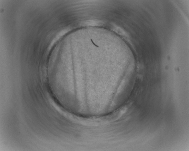 X0000070420012200606231904