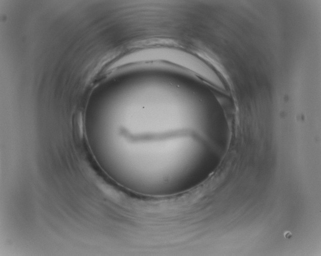 X0000070420013200606231904