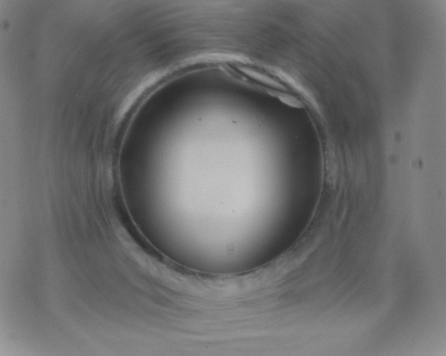 X0000070420015200606231904