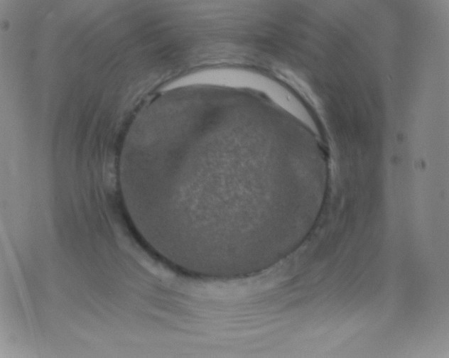 X0000070420017200606231904