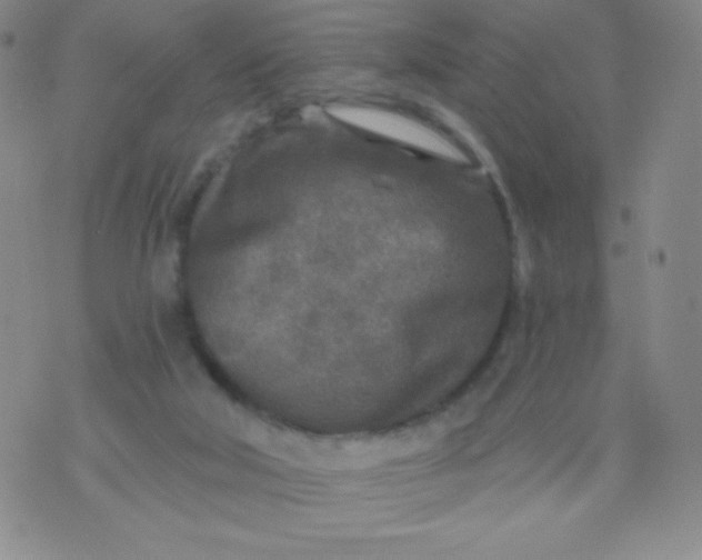 X0000070420018200606231904