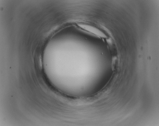 X0000070420020200606231904