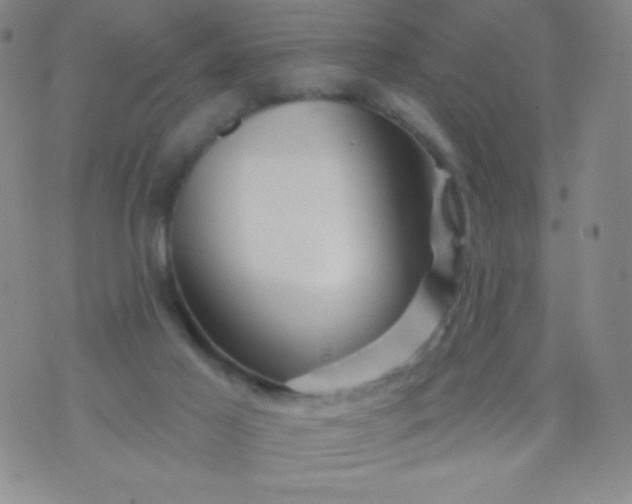 X0000070420021200606231904