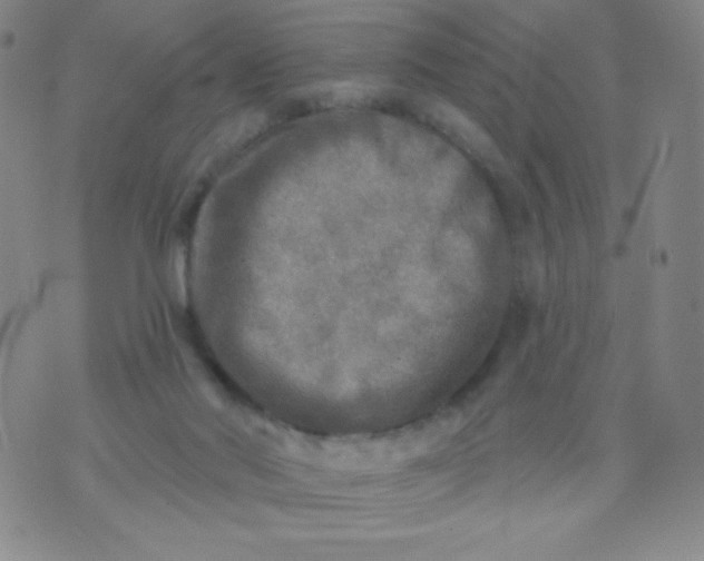 X0000070420022200606231904