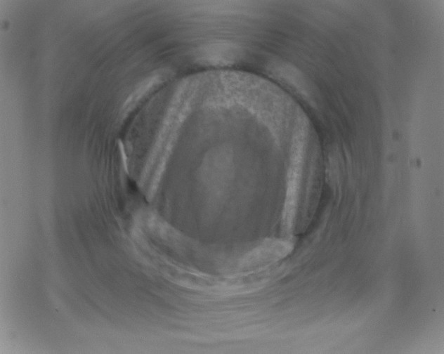 X0000070420023200606231904