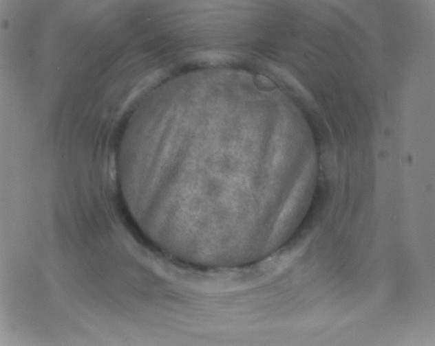 X0000070420024200606231904