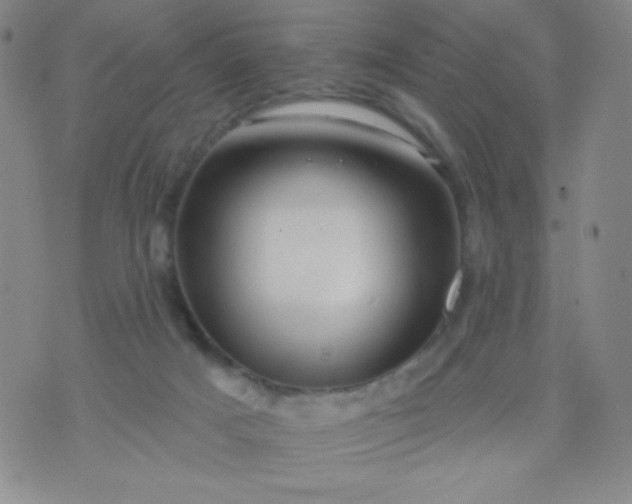 X0000070420025200606231904