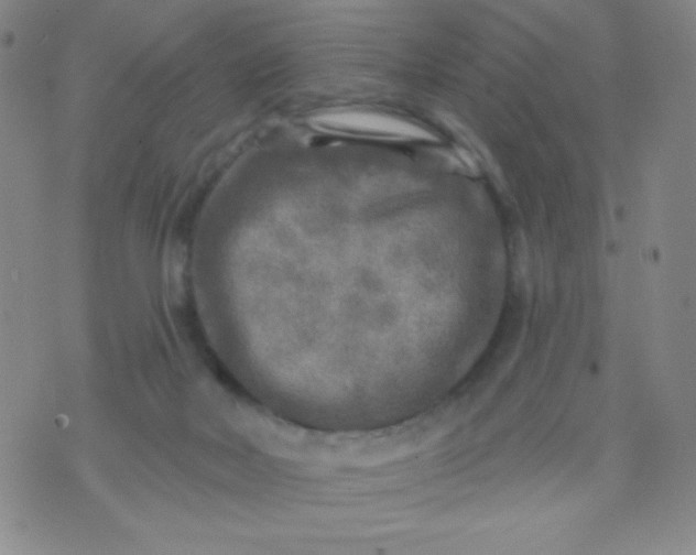 X0000070420026200606231904