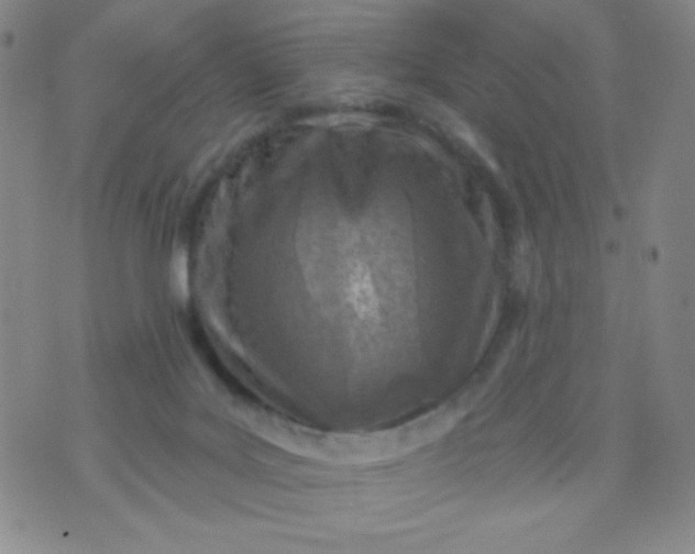 X0000070420027200606231904