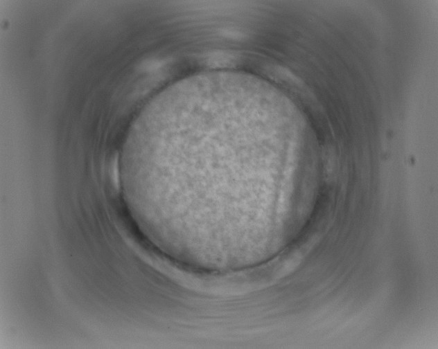 X0000070420028200606231904