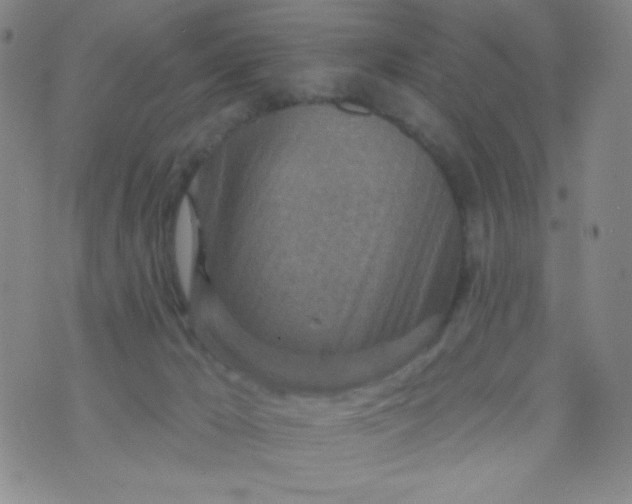 X0000070420029200606231904