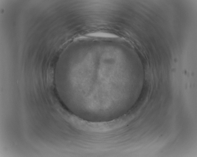 X0000070420030200606231904