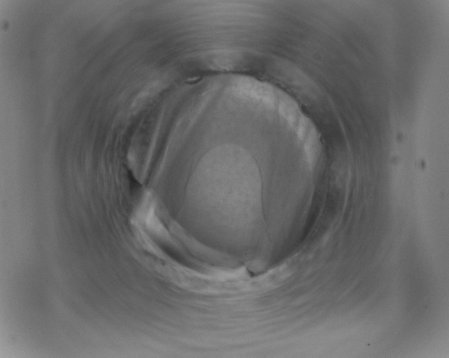 X0000070420031200606231904