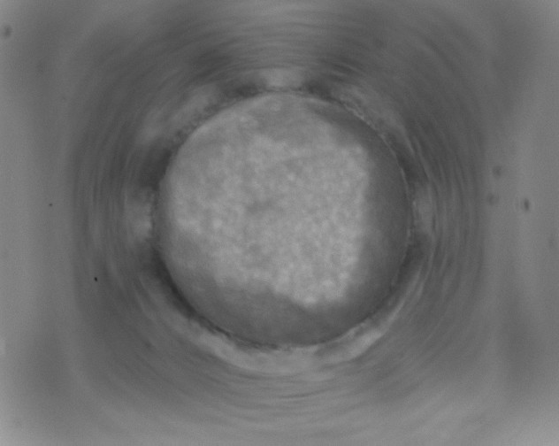 X0000070420032200606231904