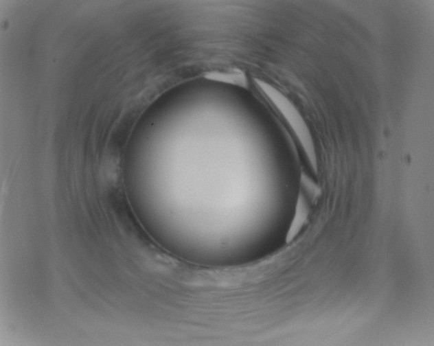 X0000070420033200606231904