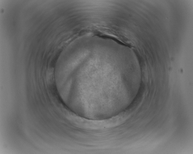 X0000070420034200606231904