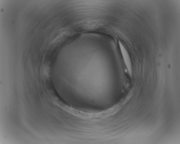 X0000070420035200606231904