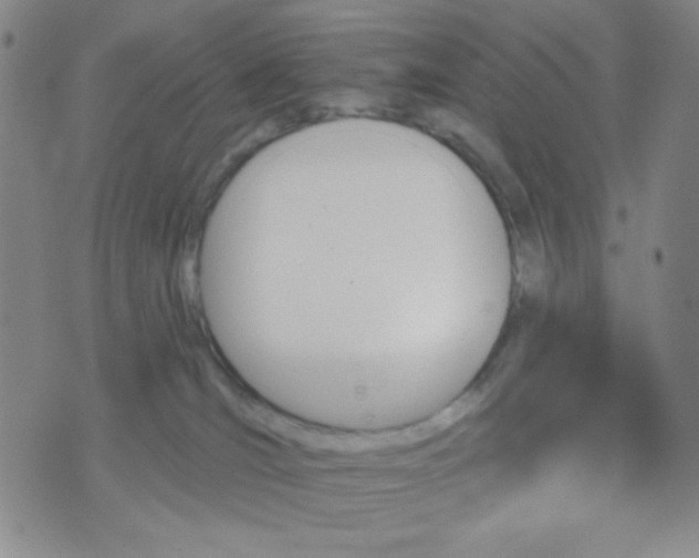 X0000070420036200606231904