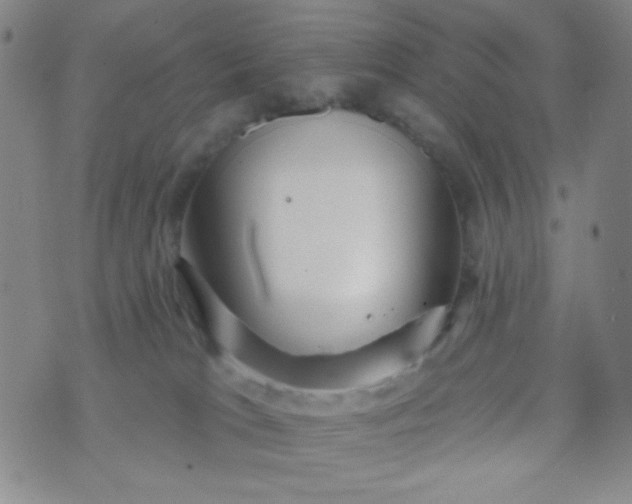 X0000070420037200606231904