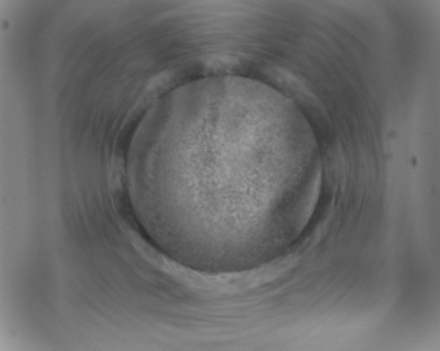 X0000070420038200606231904