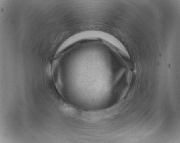 X0000070420041200606231904