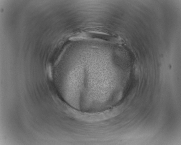 X0000070420042200606231904