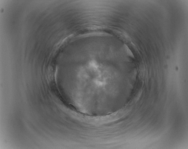 X0000070420043200606231904