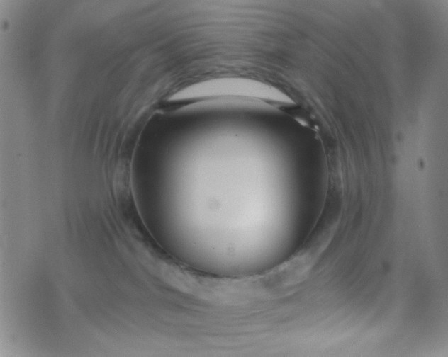 X0000070420044200606231904