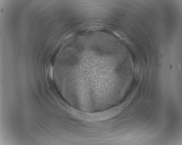 X0000070420046200606231904