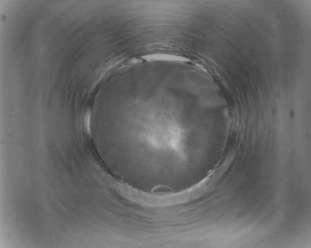 X0000070420047200606231904