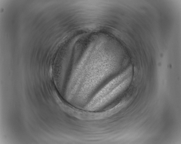 X0000070420048200606231904