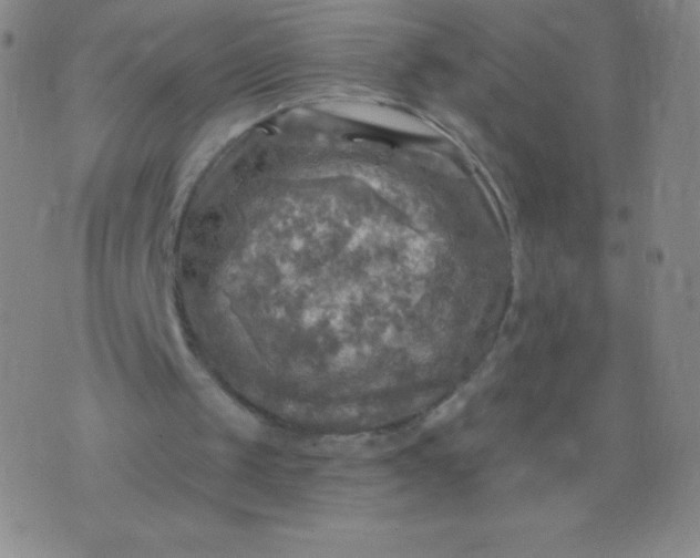 X0000070420049200606231903