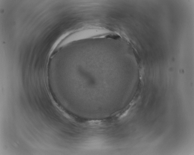 X0000070420052200606231903